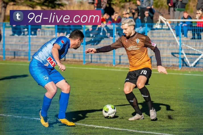 多媒体互动体验